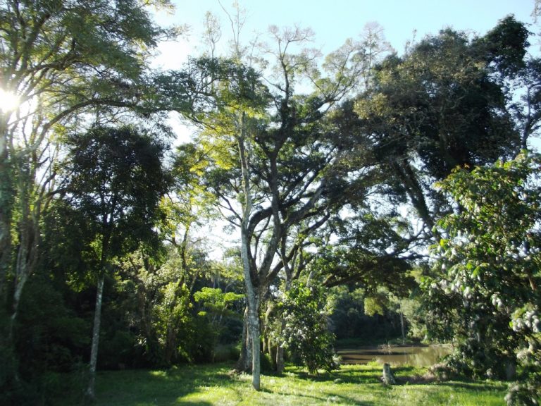 B-523     LINDA ÁREA DE TERRAS COMPLETAMENTE PLANA