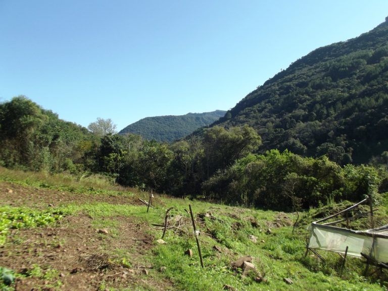 B-525     ÁREA DE TERRAS COM ÁGUA, LUZ, INTERNET FIBRA ÓPTICA E FANTÁSTICA VISTA PANORÂMICA!!!