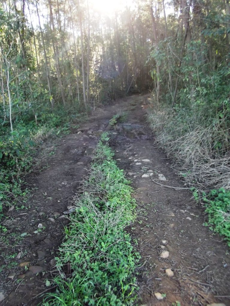 B-523     LINDA ÁREA DE TERRAS COMPLETAMENTE PLANA