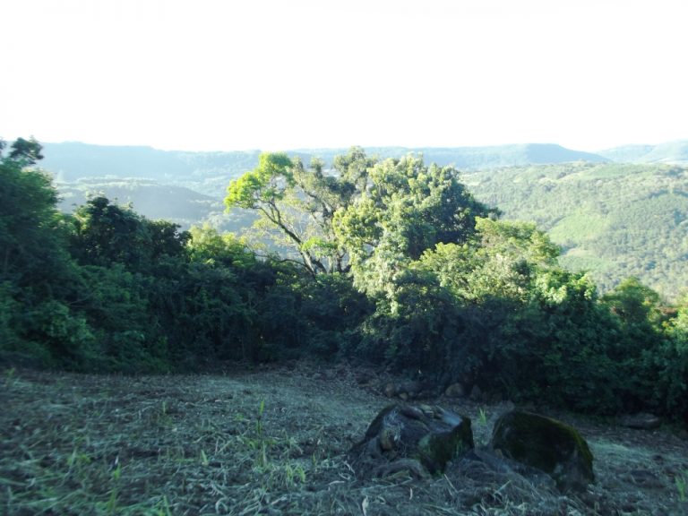 B-523     LINDA ÁREA DE TERRAS COMPLETAMENTE PLANA