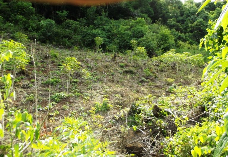 B-525     ÁREA DE TERRAS COM ÁGUA, LUZ, INTERNET FIBRA ÓPTICA E FANTÁSTICA VISTA PANORÂMICA!!!