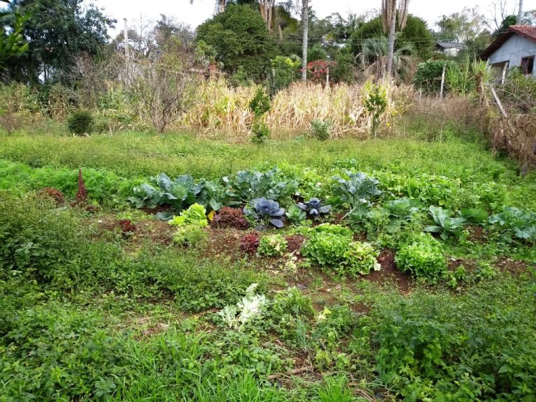 B-80     ENORME TERRENO PARA DIVERSOS TIPOS DE EMPREENDIMENTOS