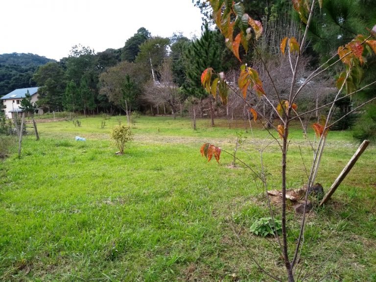 B-80     ENORME TERRENO PARA DIVERSOS TIPOS DE EMPREENDIMENTOS