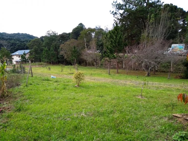 B-80     ENORME TERRENO PARA DIVERSOS TIPOS DE EMPREENDIMENTOS