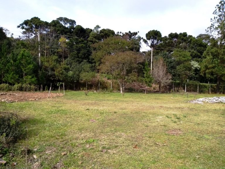 B-80     ENORME TERRENO PARA DIVERSOS TIPOS DE EMPREENDIMENTOS