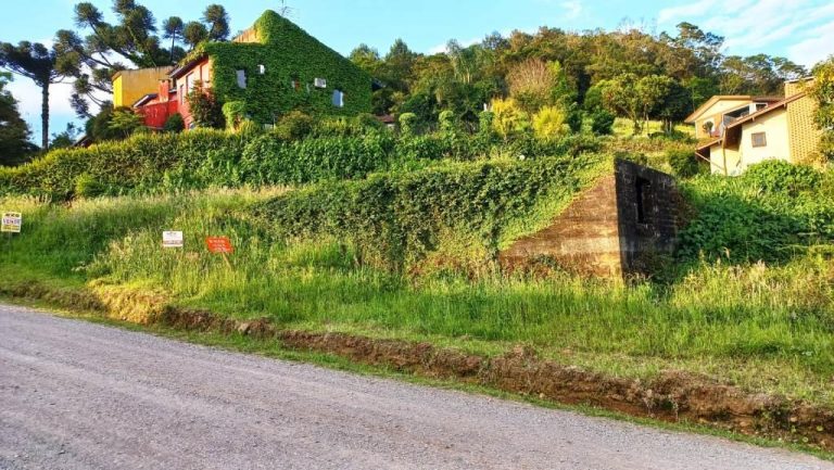 B-76     TERRENO NA ENTRADA DE NOVA PETRÓPOLIS COM PREÇO IMPERDÍVEL!!!
