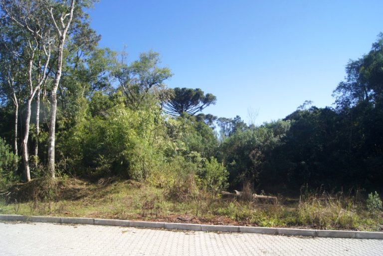 B-85     TERRENO PLANO NUM BAIRRO NOBRE – BAIRRO JURITI!!!