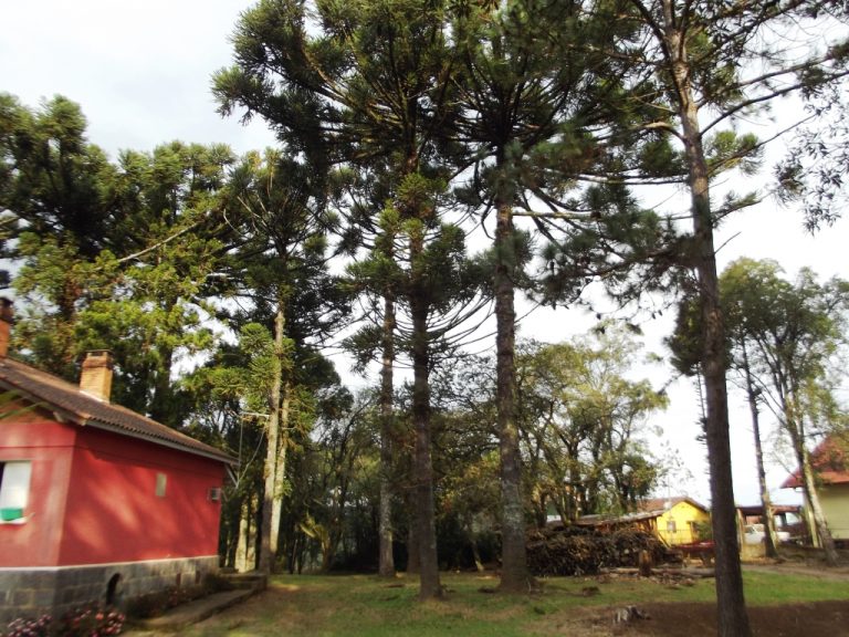B-310     CASA COM FANTÁSTICO TERRENO MEDINDO 7.226,65 m²!!!