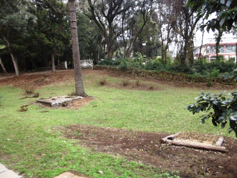 B-310     CASA COM FANTÁSTICO TERRENO MEDINDO 7.226,65 m²!!!