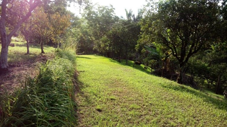 B-430     SÍTIO COMPLETO DE TUDO NA SERRA GAÚCHA!!! DUVIDO MAIS BONITO!!!