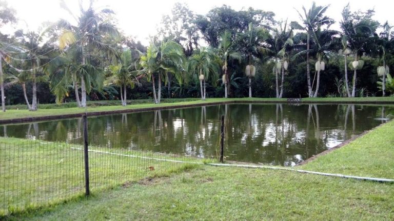 B-430     SÍTIO COMPLETO DE TUDO NA SERRA GAÚCHA!!! DUVIDO MAIS BONITO!!!