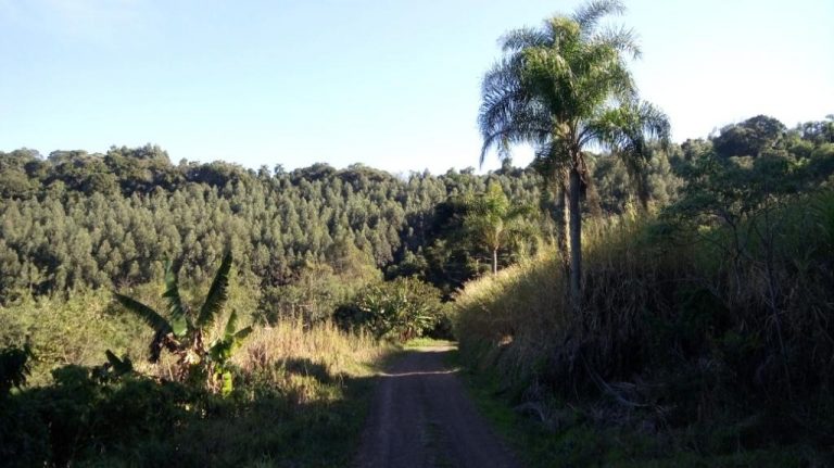 B-535     ÁREA DE TERRAS COM FANTÁSTICA VISTA PANORÂMICA NA DIVISA DE NOVA PETRÓPOLIS COM LINHA NOVA!!!
