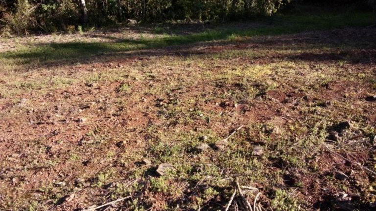 B-90     FANTÁSTICO TERRENO COM ÁREA DE 4.095,69 m²!!!