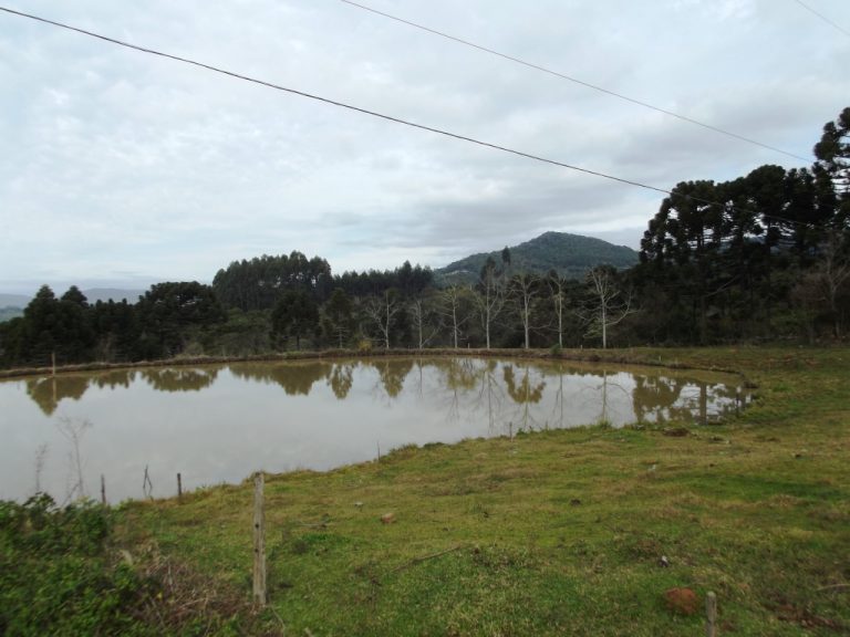 B-534     FANTÁSTICA ÁREA DE TERRAS!!! APENAS HÁ 2 KM DA RS 235