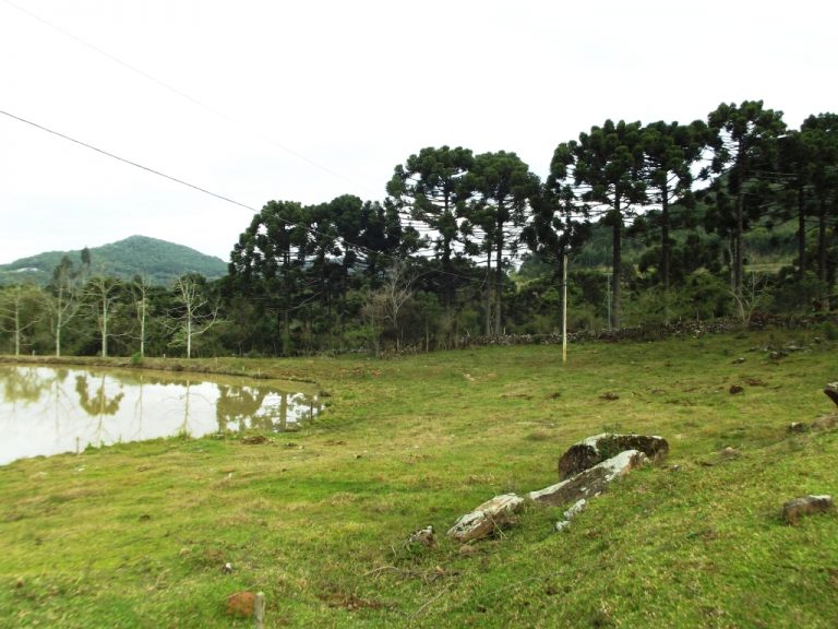B-534     FANTÁSTICA ÁREA DE TERRAS!!! APENAS HÁ 2 KM DA RS 235