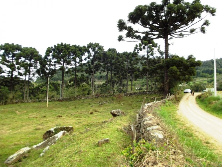 B-534     FANTÁSTICA ÁREA DE TERRAS!!! APENAS HÁ 2 KM DA RS 235