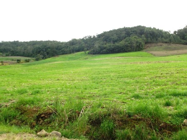B-534     FANTÁSTICA ÁREA DE TERRAS!!! APENAS HÁ 2 KM DA RS 235