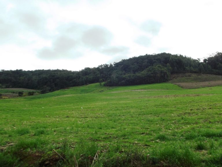 B-534     FANTÁSTICA ÁREA DE TERRAS!!! APENAS HÁ 2 KM DA RS 235
