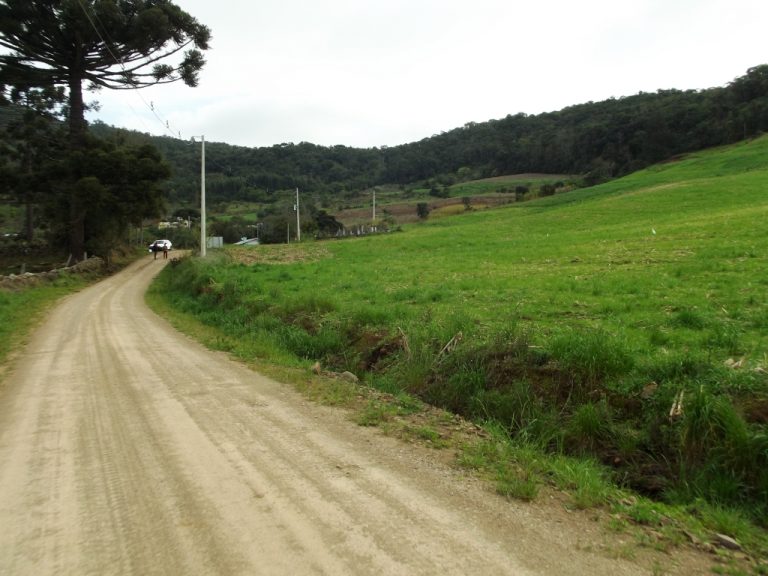 B-534     FANTÁSTICA ÁREA DE TERRAS!!! APENAS HÁ 2 KM DA RS 235