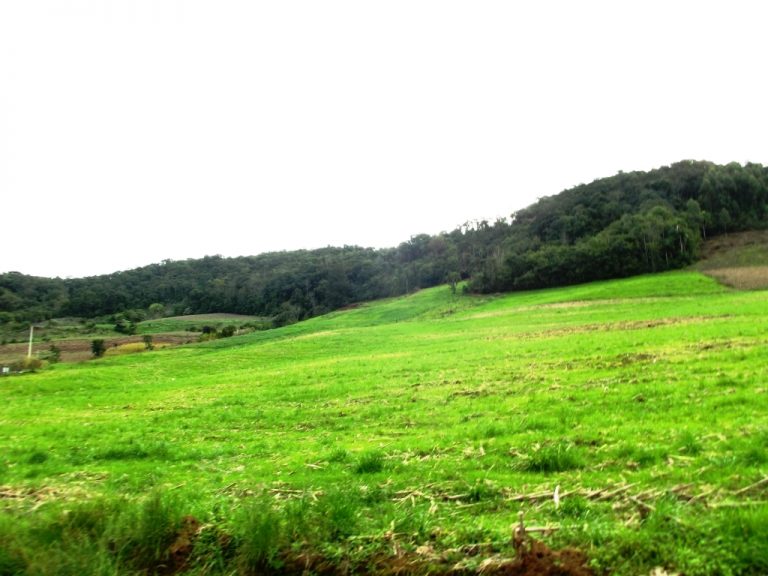 B-534     FANTÁSTICA ÁREA DE TERRAS!!! APENAS HÁ 2 KM DA RS 235
