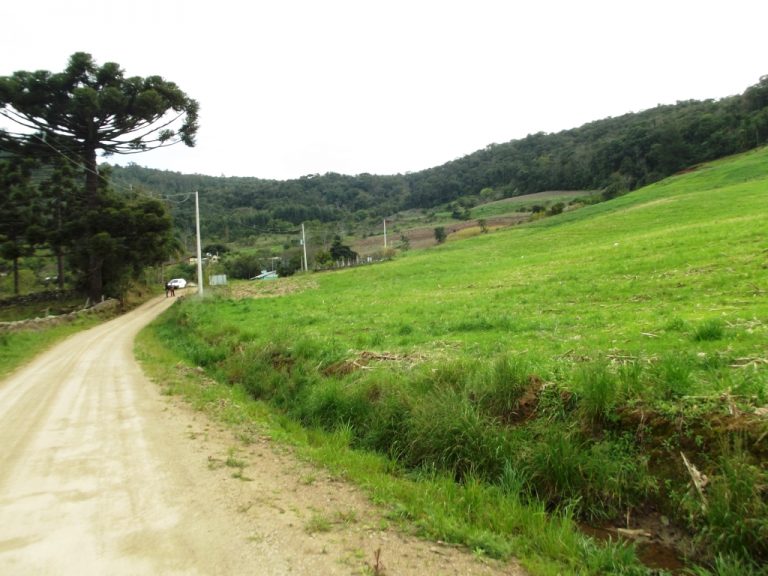 B-534     FANTÁSTICA ÁREA DE TERRAS!!! APENAS HÁ 2 KM DA RS 235