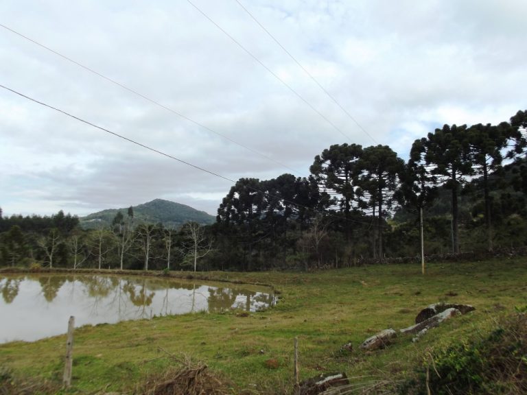 B-534     FANTÁSTICA ÁREA DE TERRAS!!! APENAS HÁ 2 KM DA RS 235