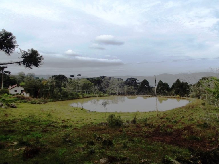 B-534     FANTÁSTICA ÁREA DE TERRAS!!! APENAS HÁ 2 KM DA RS 235
