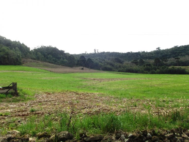 B-534     FANTÁSTICA ÁREA DE TERRAS!!! APENAS HÁ 2 KM DA RS 235