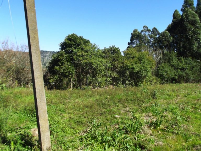 B-429     SÍTIO NA LINHA BRASIL – HÁ 1000 METROS DA ESCOLA BOM PASTOR