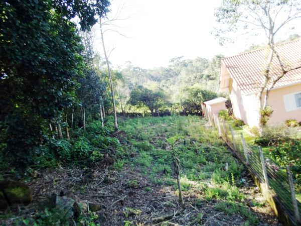 B-88     TERRENO NO CENTRO DE NOVA PETRÓPOLIS COM VISTA PANORÂMICA MARAVILHOSA!!!
