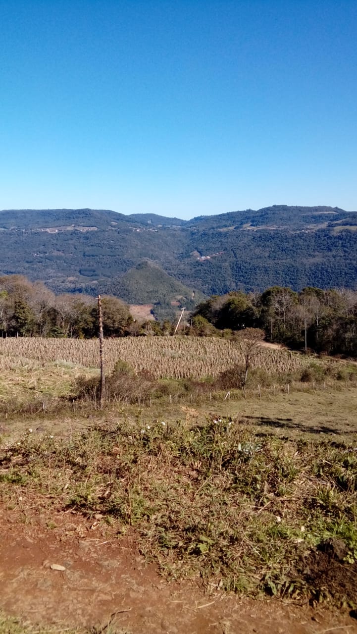 B-529     BELÍSSIMA ÁREA DE TERRAS COM VISÃO PANORÂMICA FANTÁSTICA, HA POUCOS KM DA RS 235!!!