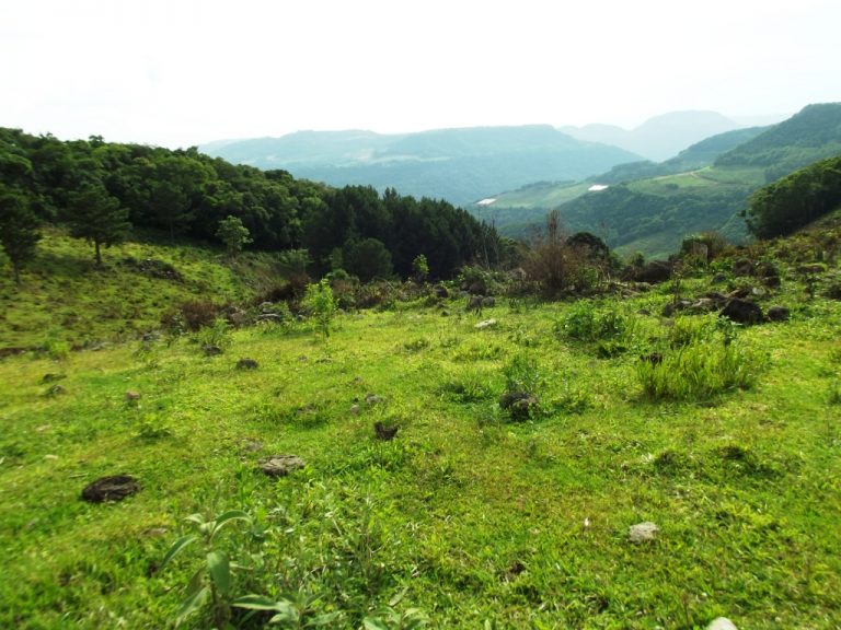 B-529     BELÍSSIMA ÁREA DE TERRAS COM VISÃO PANORÂMICA FANTÁSTICA, HA POUCOS KM DA RS 235!!!