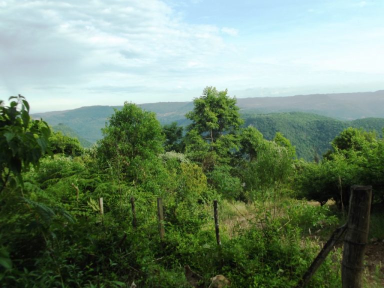 B-529     BELÍSSIMA ÁREA DE TERRAS COM VISÃO PANORÂMICA FANTÁSTICA, HA POUCOS KM DA RS 235!!!
