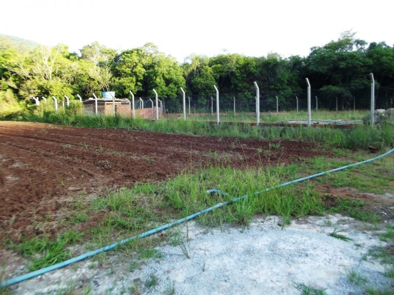 B-436     LINDO SÍTIO LOCALIZADO EM ARROIO PAIXÃO-NOVA PETRÓPOLIS