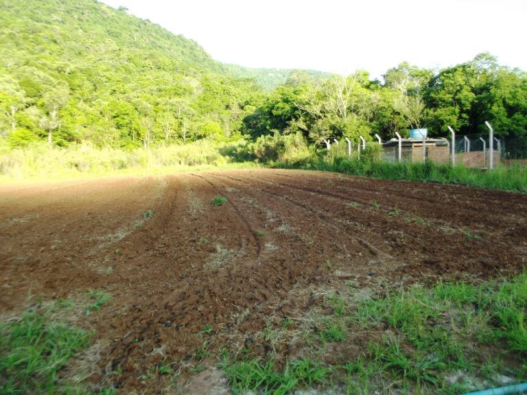 B-436     LINDO SÍTIO LOCALIZADO EM ARROIO PAIXÃO-NOVA PETRÓPOLIS