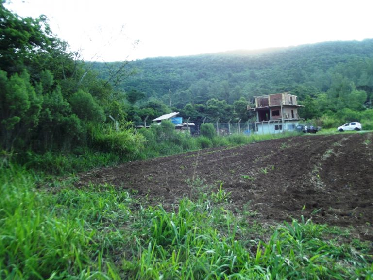 B-436     LINDO SÍTIO LOCALIZADO EM ARROIO PAIXÃO-NOVA PETRÓPOLIS