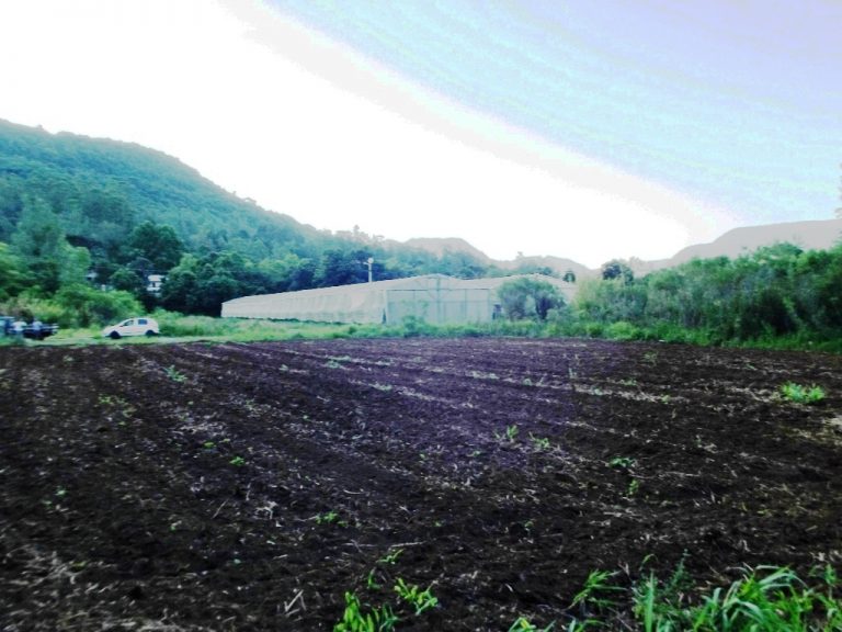 B-436     LINDO SÍTIO LOCALIZADO EM ARROIO PAIXÃO-NOVA PETRÓPOLIS