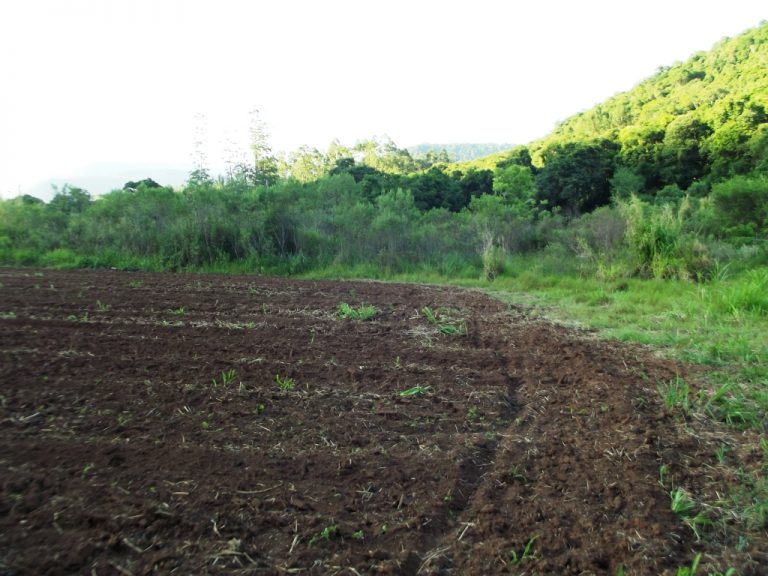 B-436     LINDO SÍTIO LOCALIZADO EM ARROIO PAIXÃO-NOVA PETRÓPOLIS