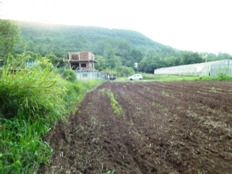 B-436     LINDO SÍTIO LOCALIZADO EM ARROIO PAIXÃO-NOVA PETRÓPOLIS