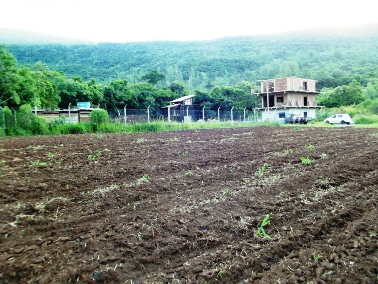 B-436     LINDO SÍTIO LOCALIZADO EM ARROIO PAIXÃO-NOVA PETRÓPOLIS