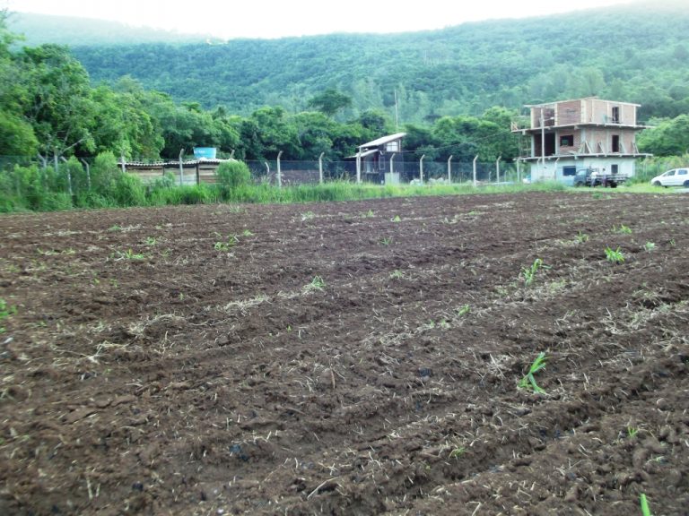 B-436     LINDO SÍTIO LOCALIZADO EM ARROIO PAIXÃO-NOVA PETRÓPOLIS