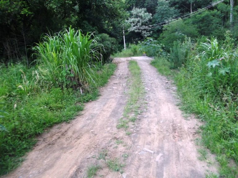 B-436     LINDO SÍTIO LOCALIZADO EM ARROIO PAIXÃO-NOVA PETRÓPOLIS