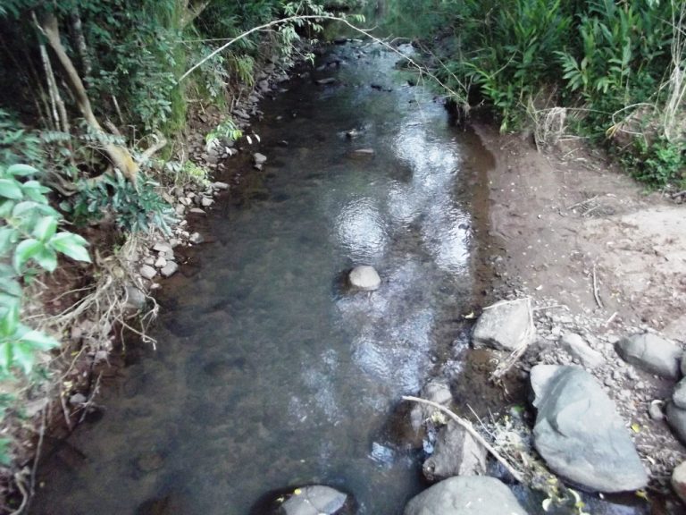 B-436     LINDO SÍTIO LOCALIZADO EM ARROIO PAIXÃO-NOVA PETRÓPOLIS