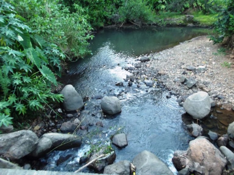 B-436     LINDO SÍTIO LOCALIZADO EM ARROIO PAIXÃO-NOVA PETRÓPOLIS