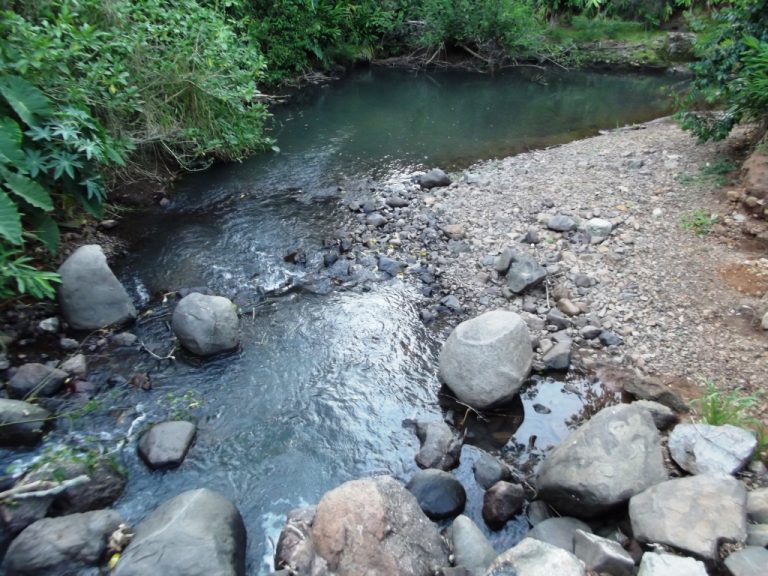 B-436     LINDO SÍTIO LOCALIZADO EM ARROIO PAIXÃO-NOVA PETRÓPOLIS