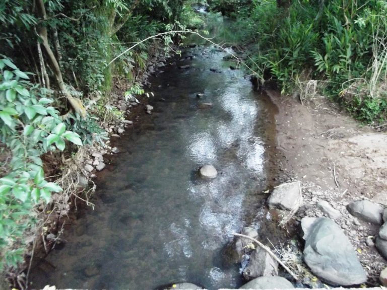 B-436     LINDO SÍTIO LOCALIZADO EM ARROIO PAIXÃO-NOVA PETRÓPOLIS