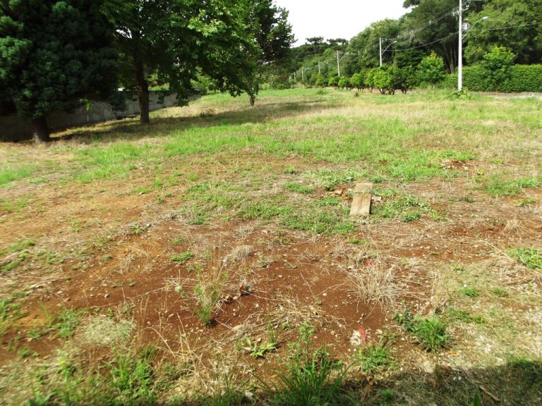 B-91     TERRENOS NO LINDÍSSIMO CONDOMÍNIO FECHADO ALTOS DA BAVIERA NA SERRA GAÚCHA!!!