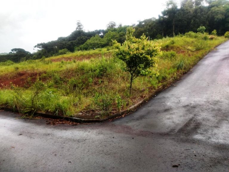B-91     TERRENOS NO LINDÍSSIMO CONDOMÍNIO FECHADO ALTOS DA BAVIERA NA SERRA GAÚCHA!!!