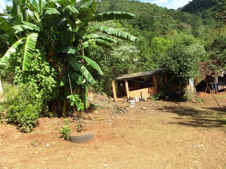B-543     EXCELENTE ÁREA TERRAS PERTO DA RS 235 !!!!