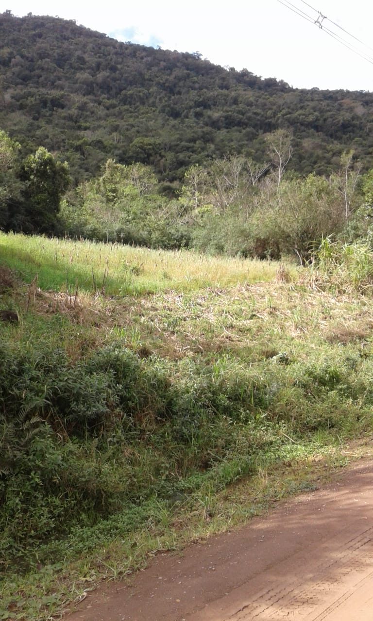B-544     ÁREA DE TERRAS (20,00 Ha) FAZENDO DIVISA COM O RIO CAÍ !!!!